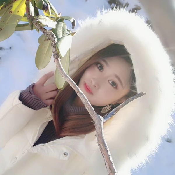 蒲公英的照片