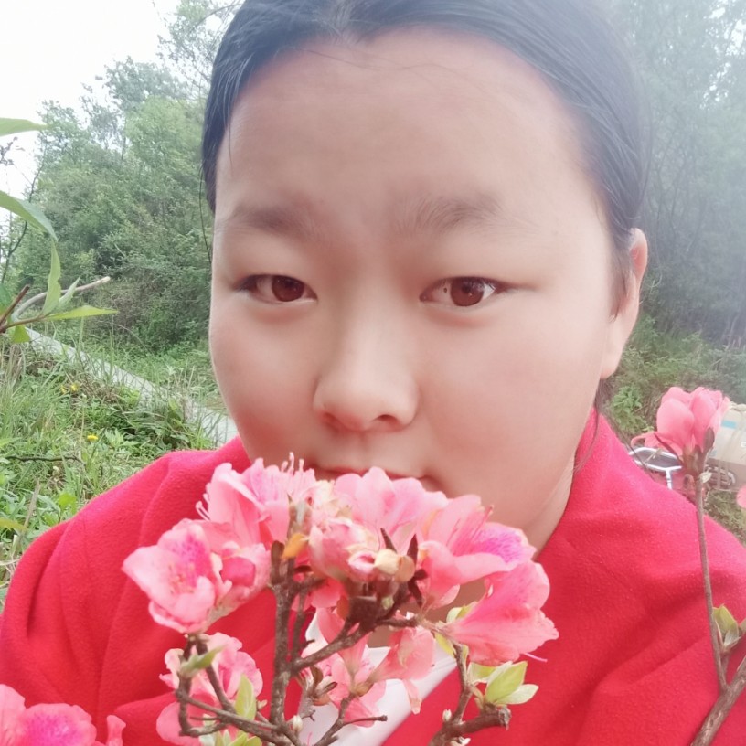 花瓣愿要减肥的照片