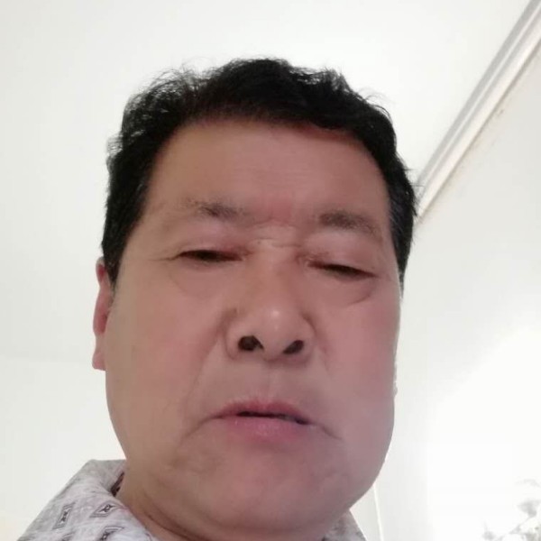流沙鲤鱼的照片