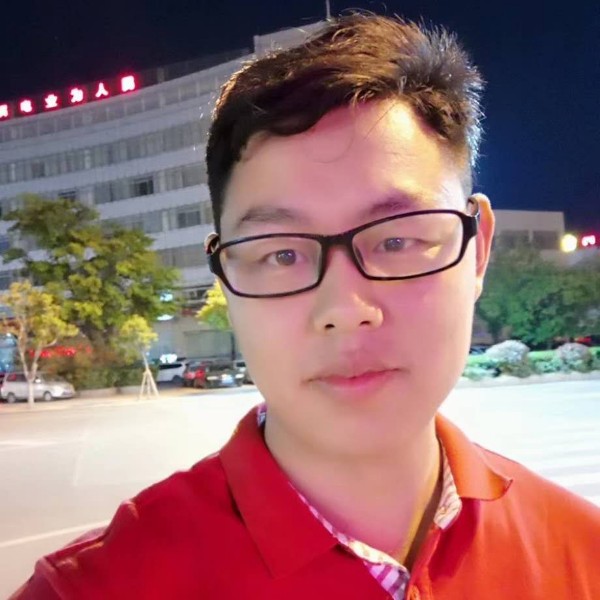 赖床的海豚的照片