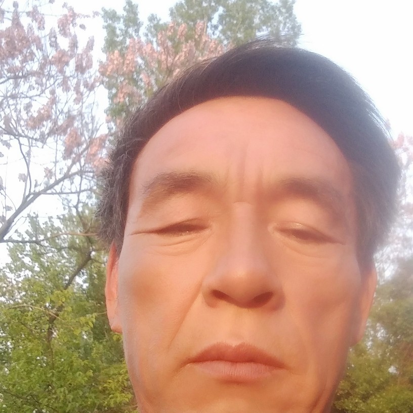 小懒猪蹙眉坦率的照片