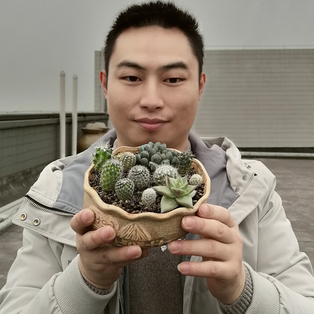 哈哈镜的样子的照片