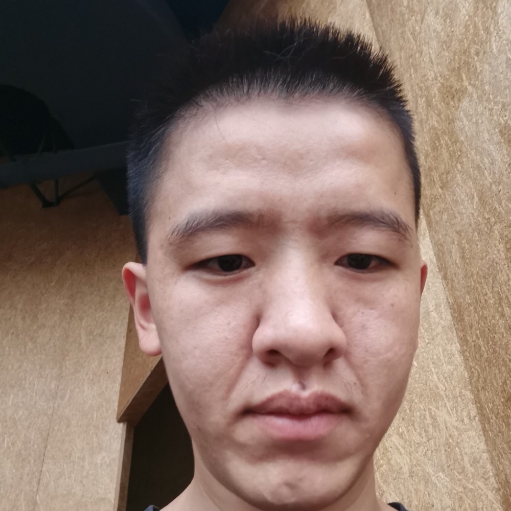 顺利苦恋树叶的照片