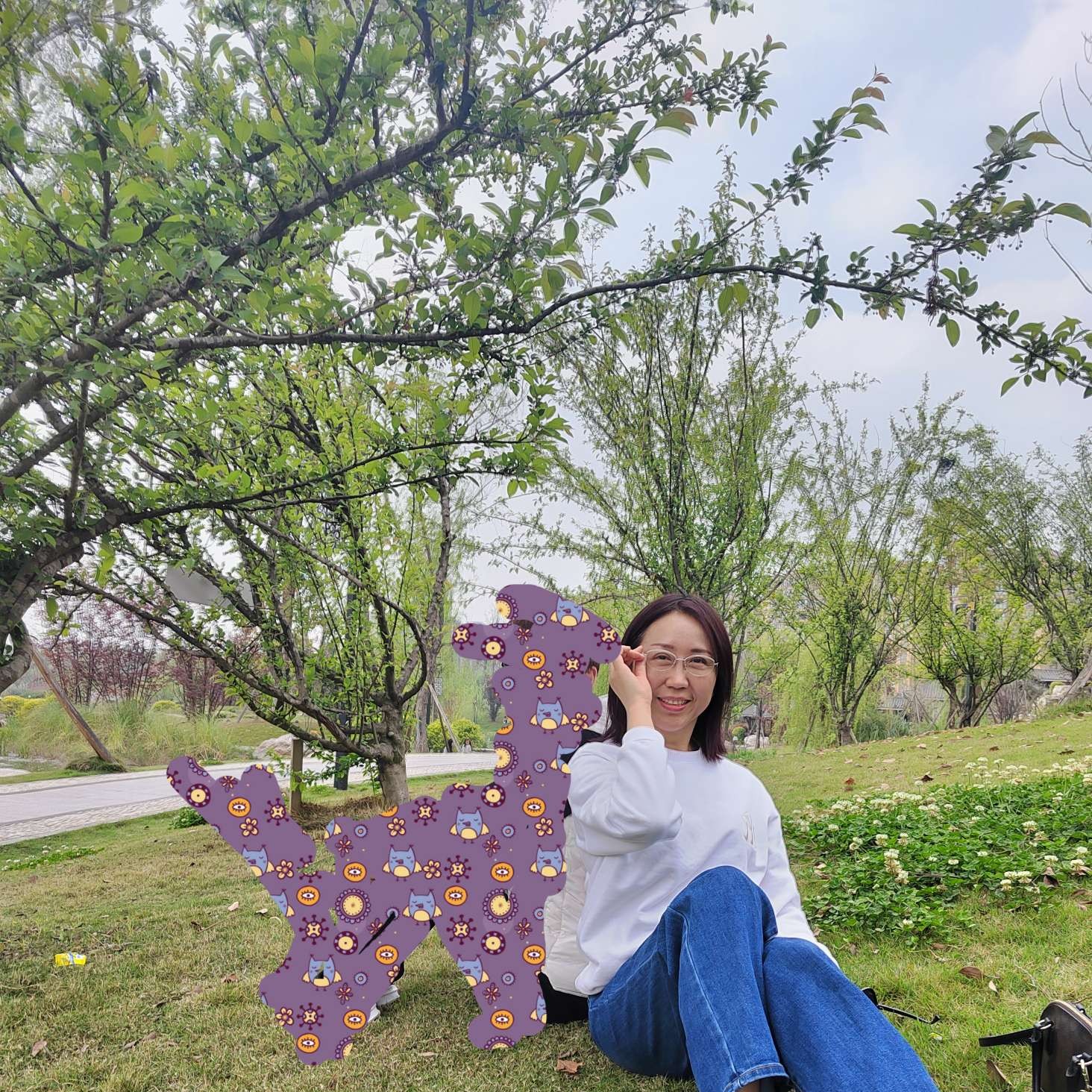 阳光明媚的照片