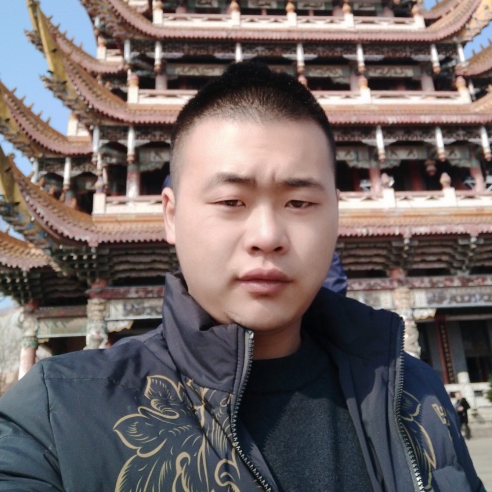 缓慢老鼠的照片