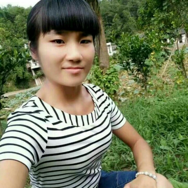 矫情仙人掌的照片