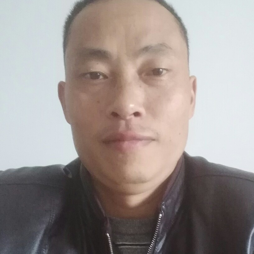 自由朋友的照片