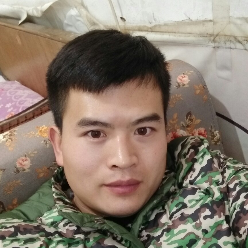 傻傻冷眸的照片