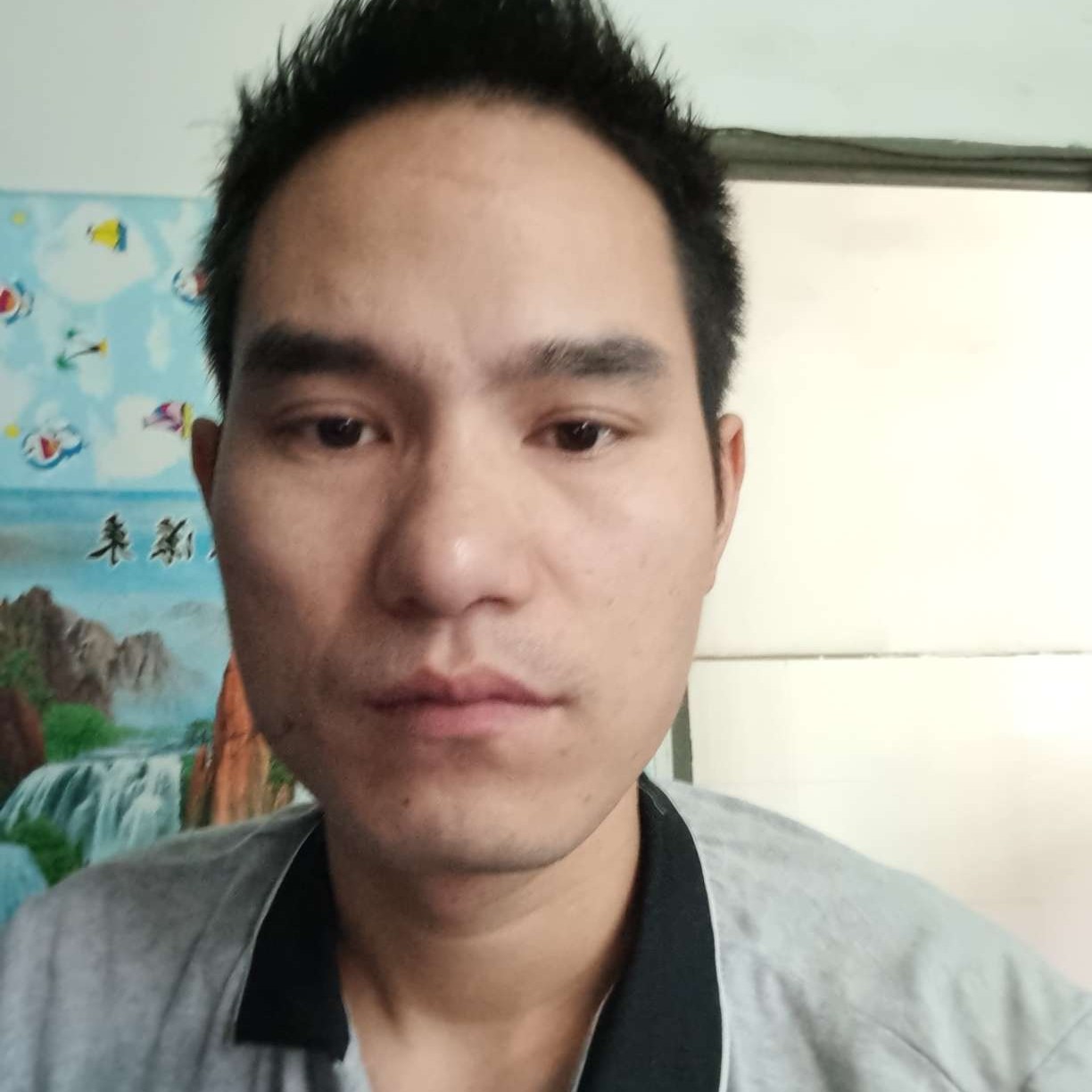 彼岸向烂漫的照片
