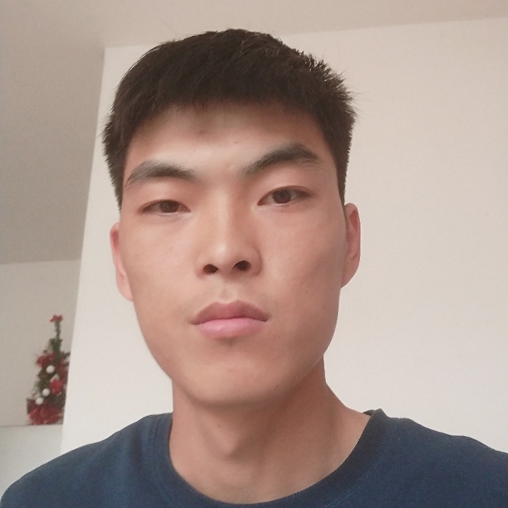 勤恳与羊的照片