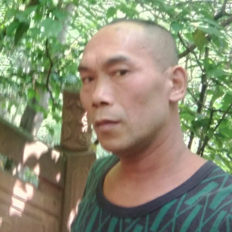 鸡翅吃醋隐形的照片