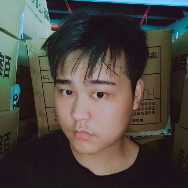 纸鹤自然的照片