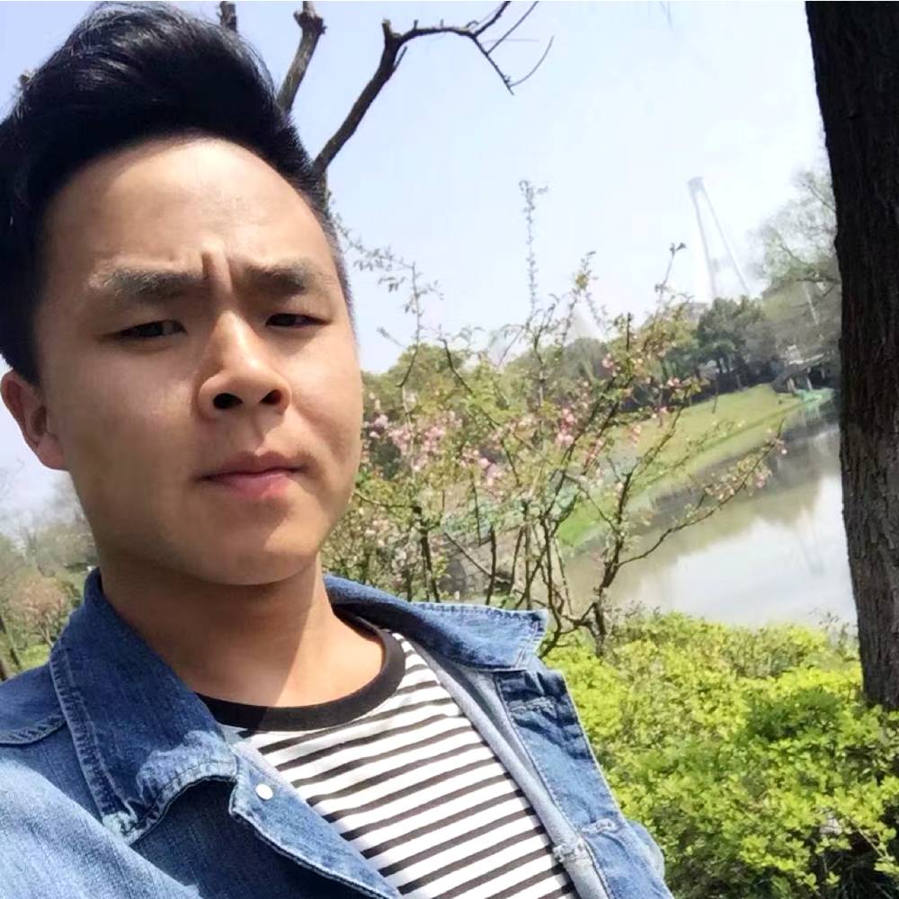 呐喊的斑马的照片