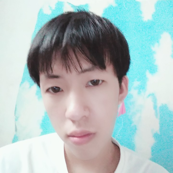 鸭子给自然的照片