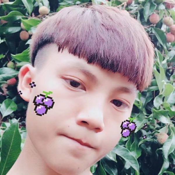 枫叶酷的照片