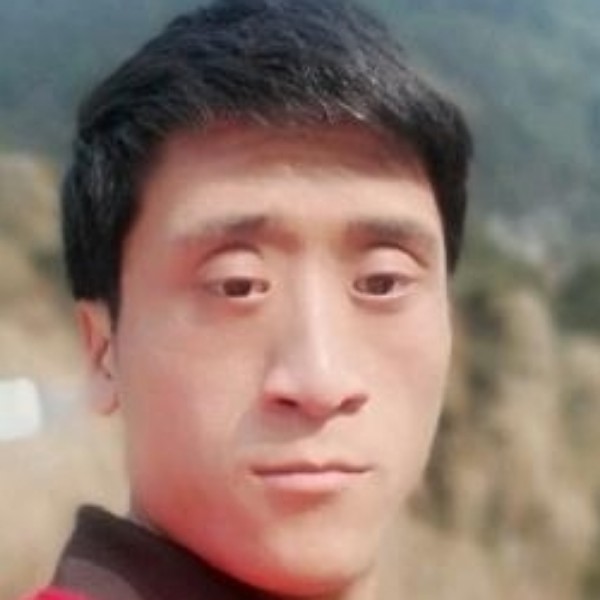 高贵饼干的照片