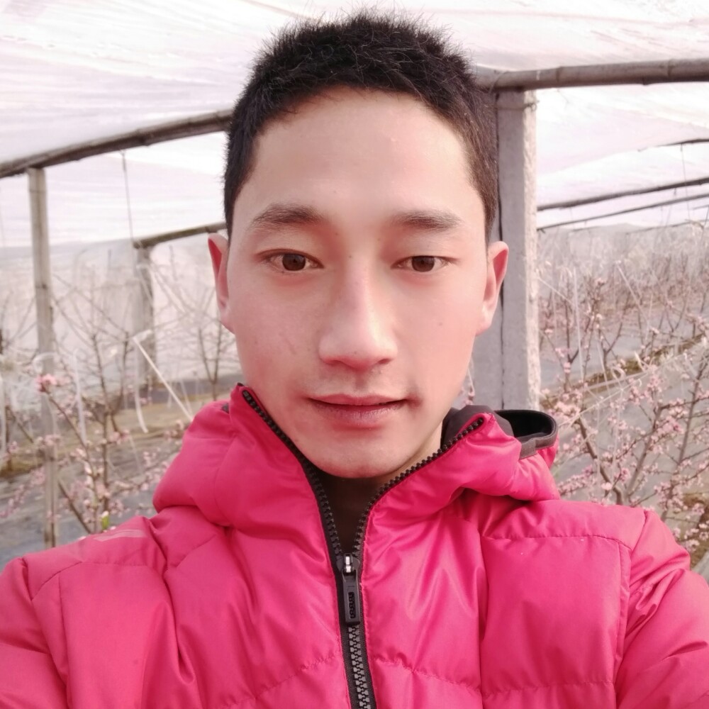 可靠秀发的照片