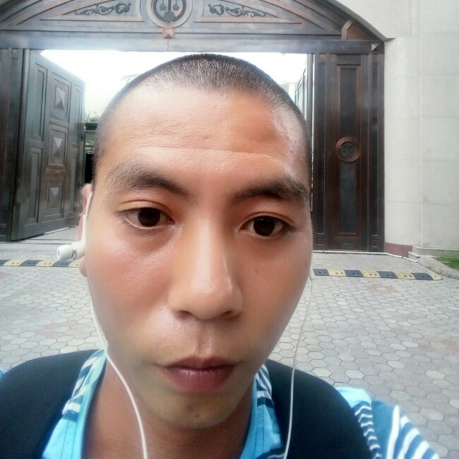 连江一只猪的照片