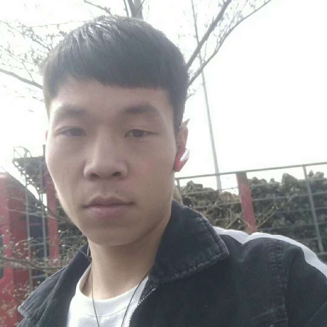 习惯孤独。的照片
