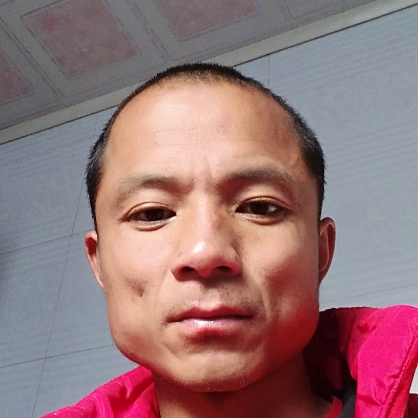 红牛善良的照片