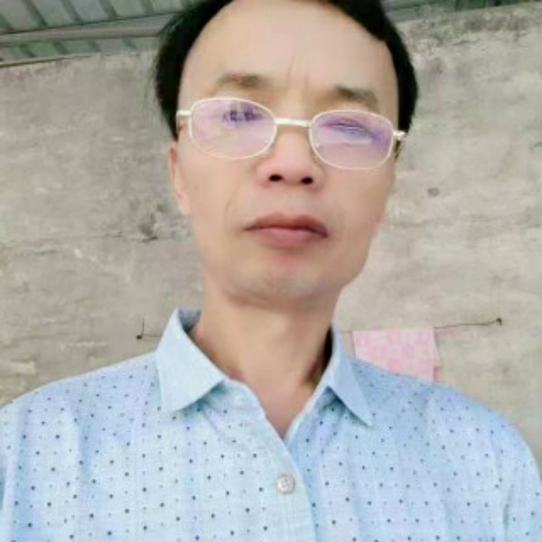 小鸽子蹁跹单纯的照片