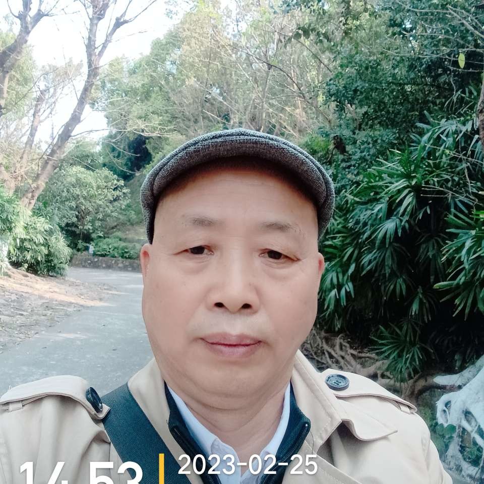 沉默的照片