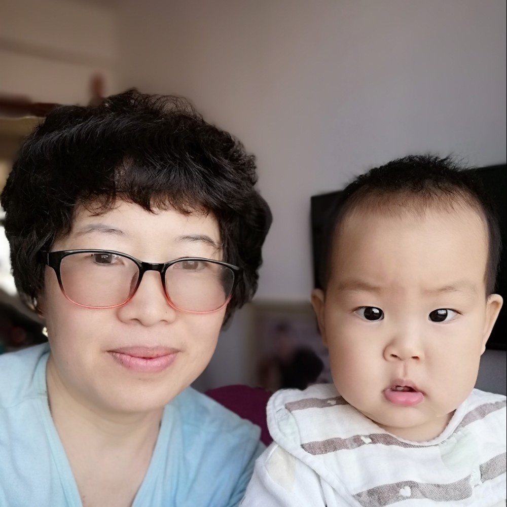 竹林中的鸟的照片