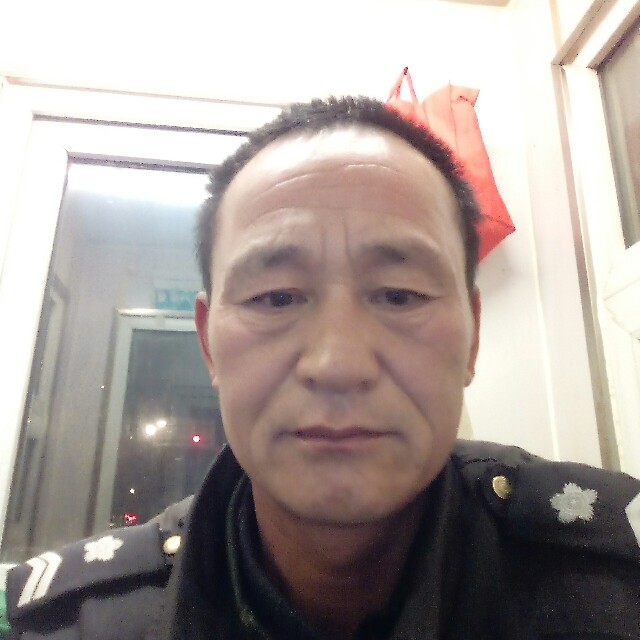无心插柳成荫的照片