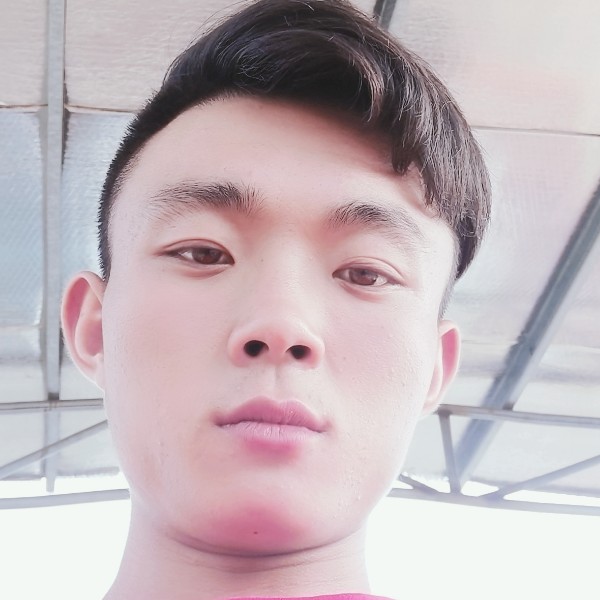 发夹倾心迷人的照片