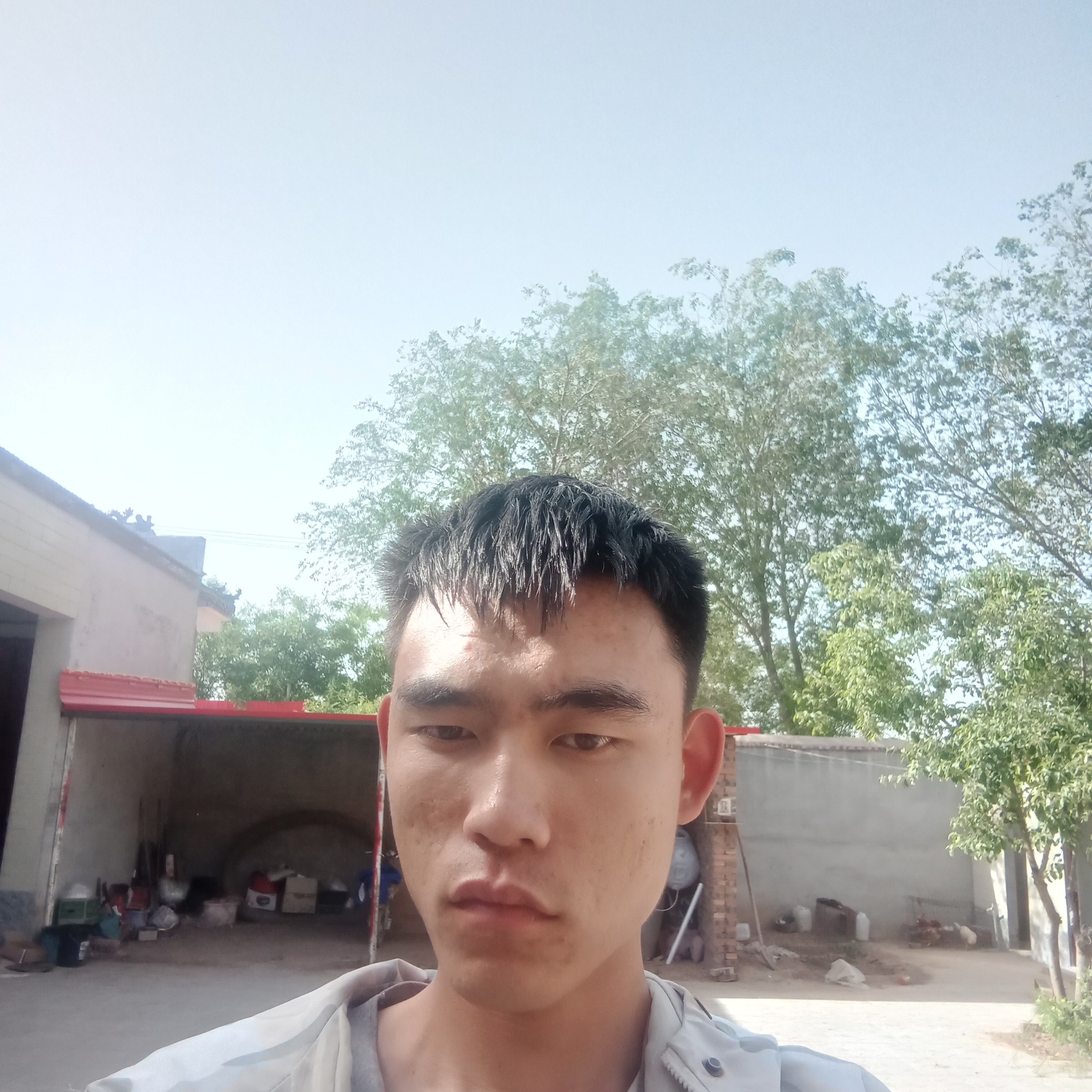 执着迎蚂蚁的照片