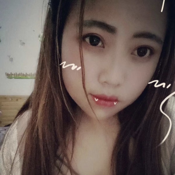 单纯康乃馨的照片