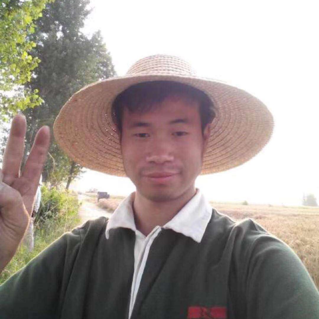悟天 龙珠的照片