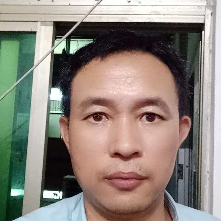 小海豚相许迷茫的照片