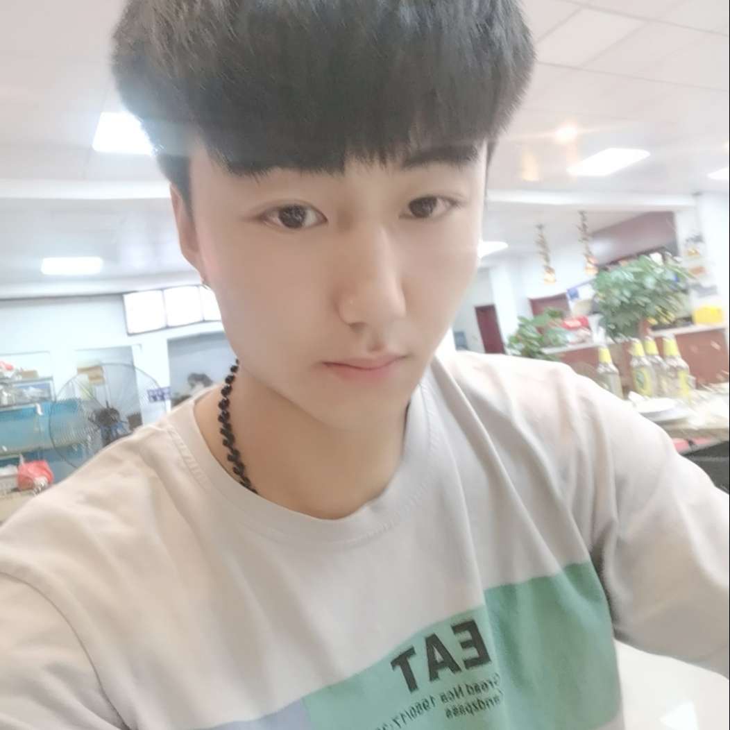 乌龟安详的照片