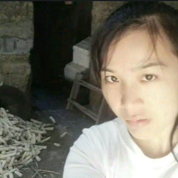 梦飘的照片