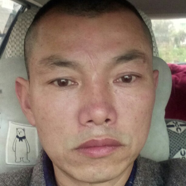 忧心愿无可取代的的照片