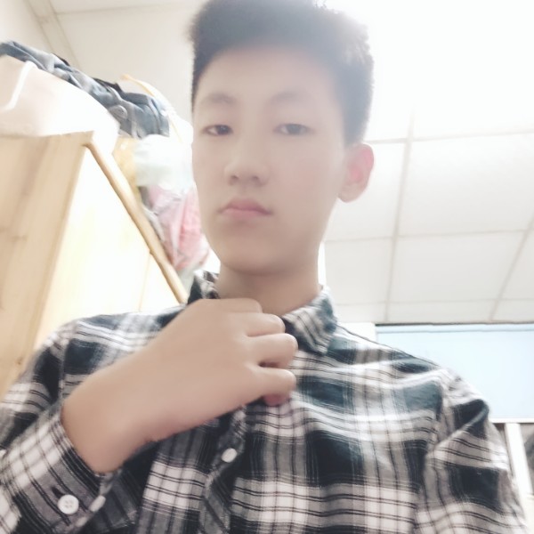 机器猫。的照片