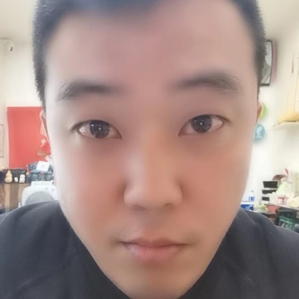 尊贵的骑士的照片