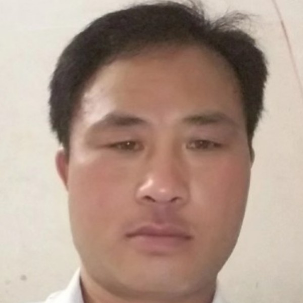 寻花人的照片