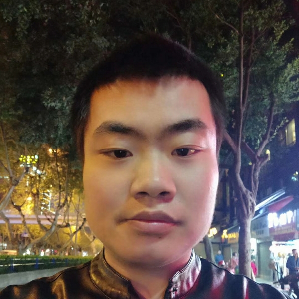 刺猬活泼的照片