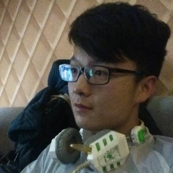 科迪亚克岛棕熊的照片
