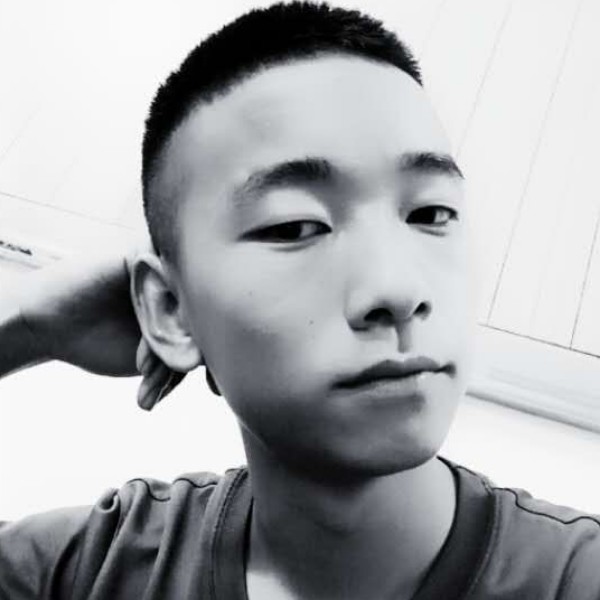 枯木逢春。的照片