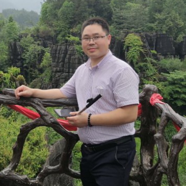 小海豚放弃谨慎的照片