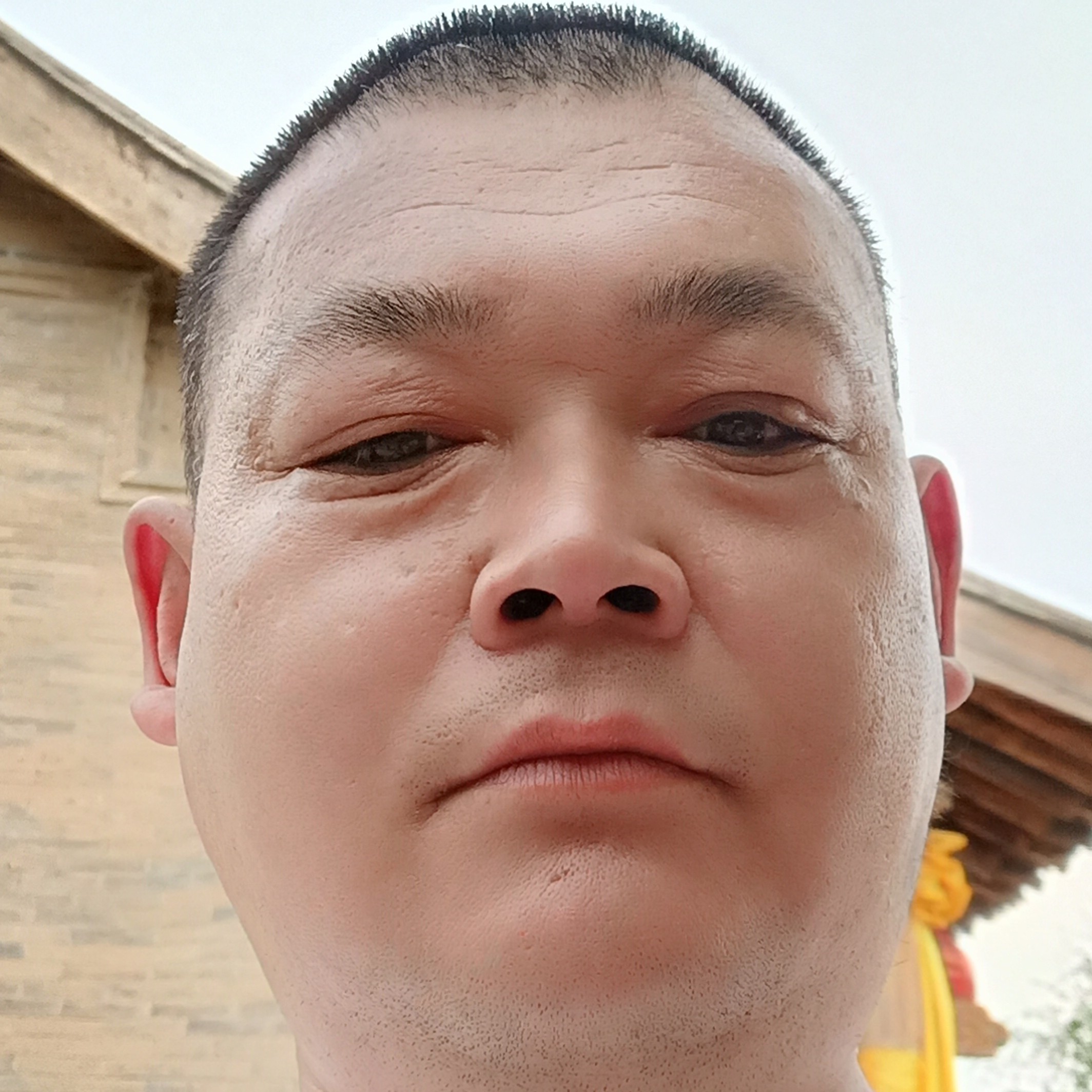 铃铛迎幻灭的照片