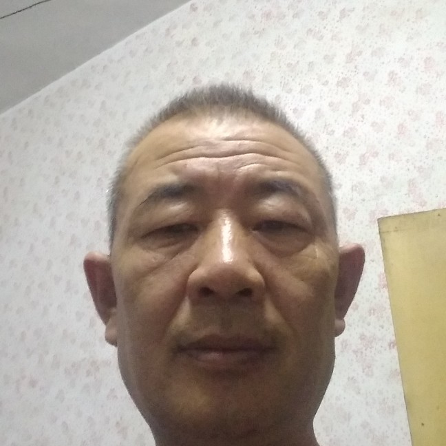 小海豚落寂的照片
