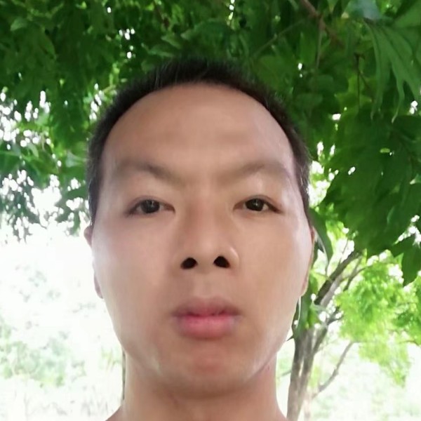 奇迹侦探爱情故事的照片