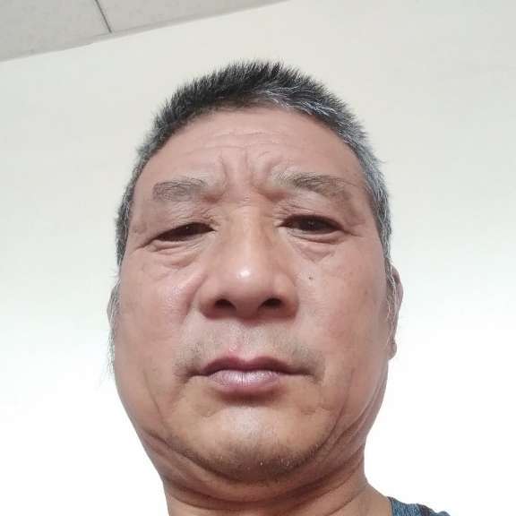 阳光与犀牛的照片