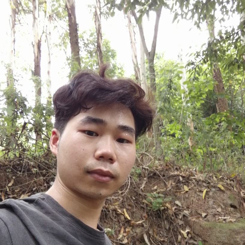 忧郁的的照片