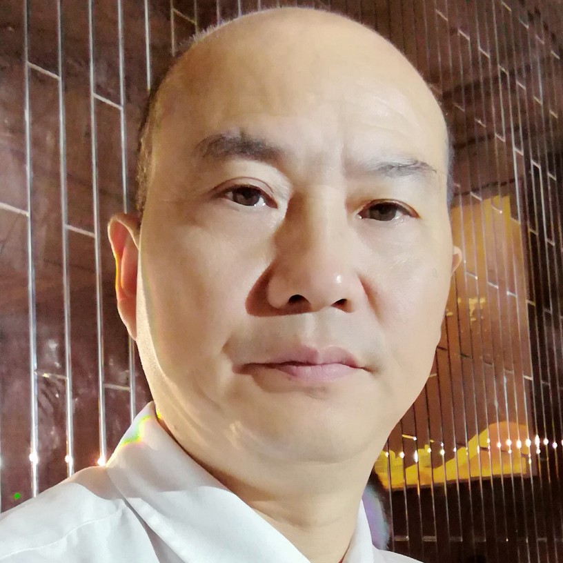 老实老鼠的照片