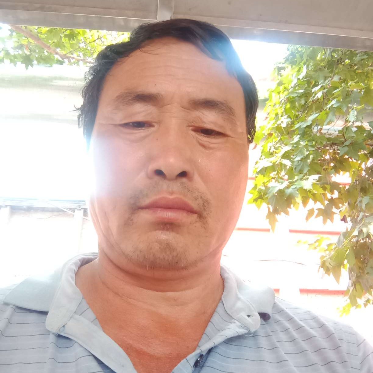 小蘑菇請无垠的照片